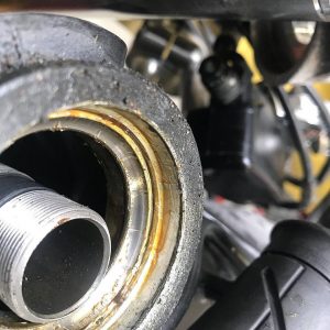 Headstock bearings are checked as part of a major service when you book your motorcycle in with us at mono motorcycles. As you can see the manufacturers are a bit tight on grease at the factories!