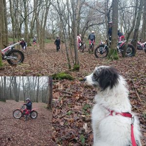 Sprocket attended his first trial last week & got on really well, taking all the two stroke cracking exhausts in his stride.
